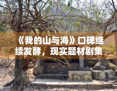 《我的山与海》口碑继续发酵，现实题材剧集怎样留住长期讨论